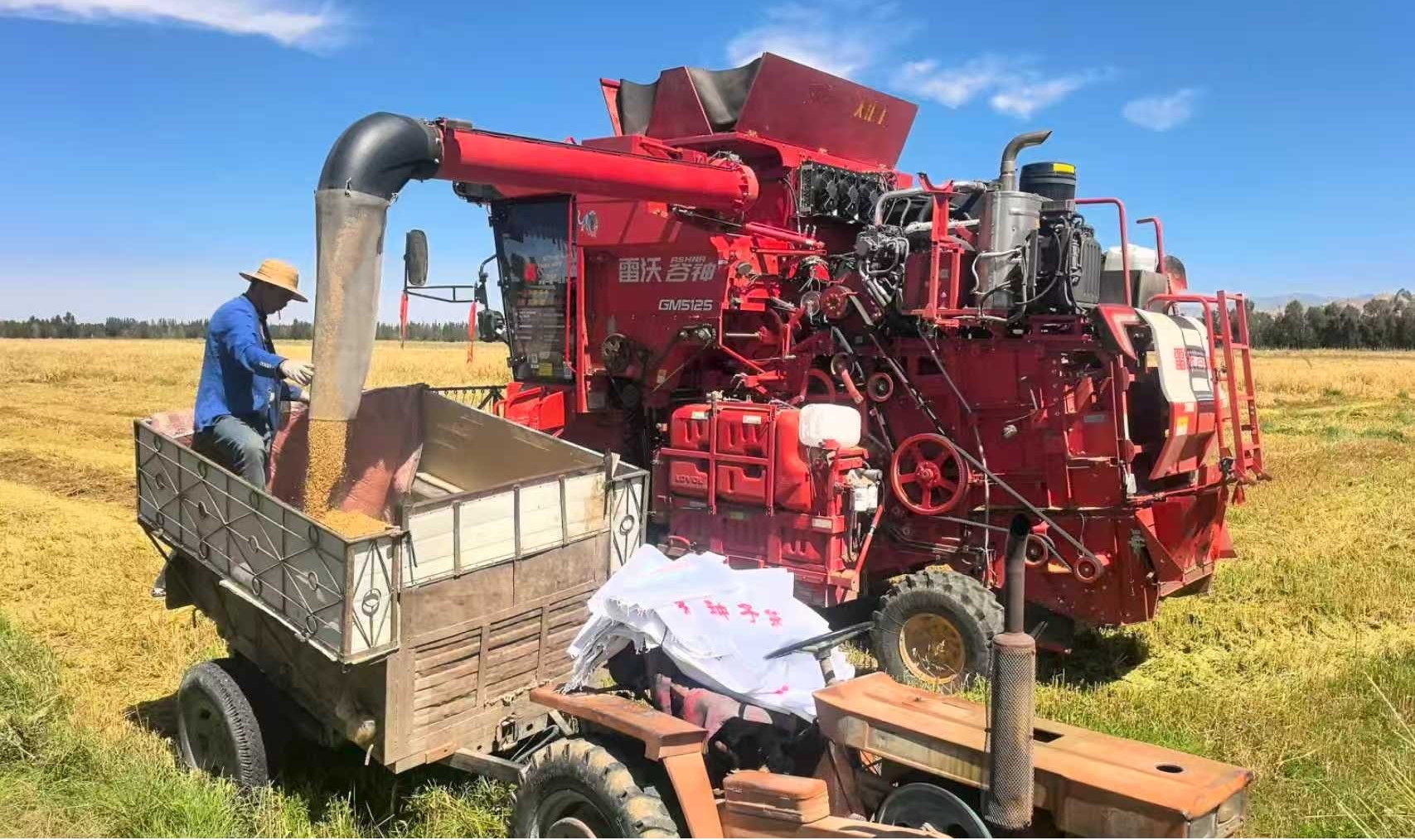 41b16ecd45e84d72bdee939fd5eacba0.jpg 41b16ecd45e84d72bdee939fd5eacba0.jpg