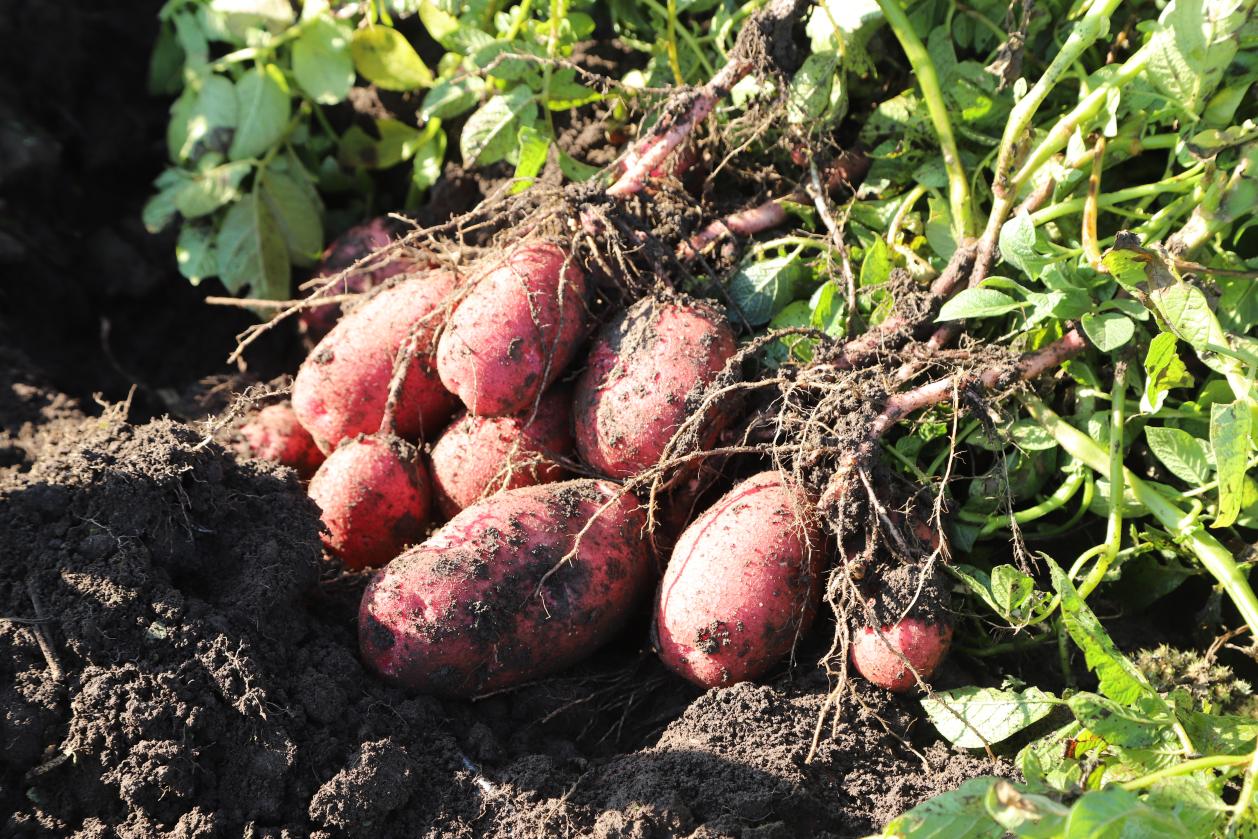 8a875f9317354b9d8ea0a96379d5dc1b.jpg 8a875f9317354b9d8ea0a96379d5dc1b.jpg