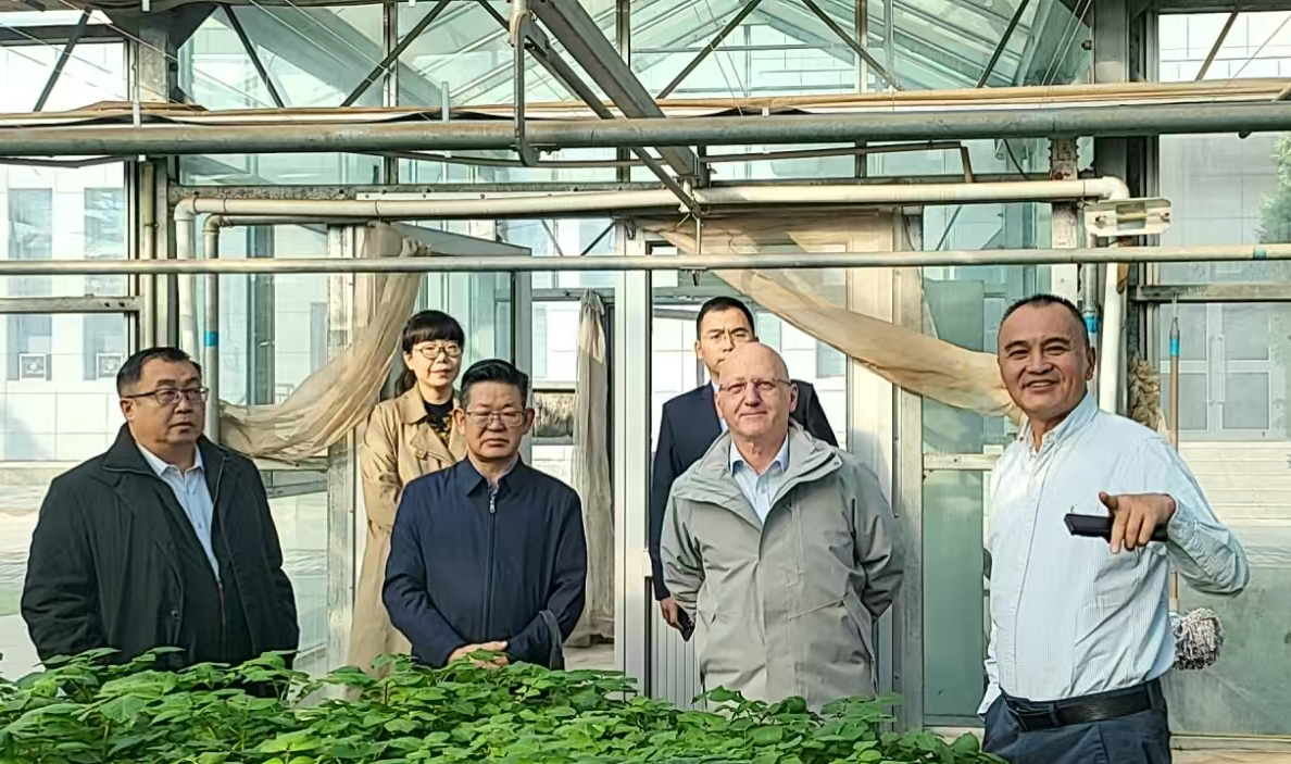 ca3b8c3c0e854a389edef102e28d987e.png ca3b8c3c0e854a389edef102e28d987e.png