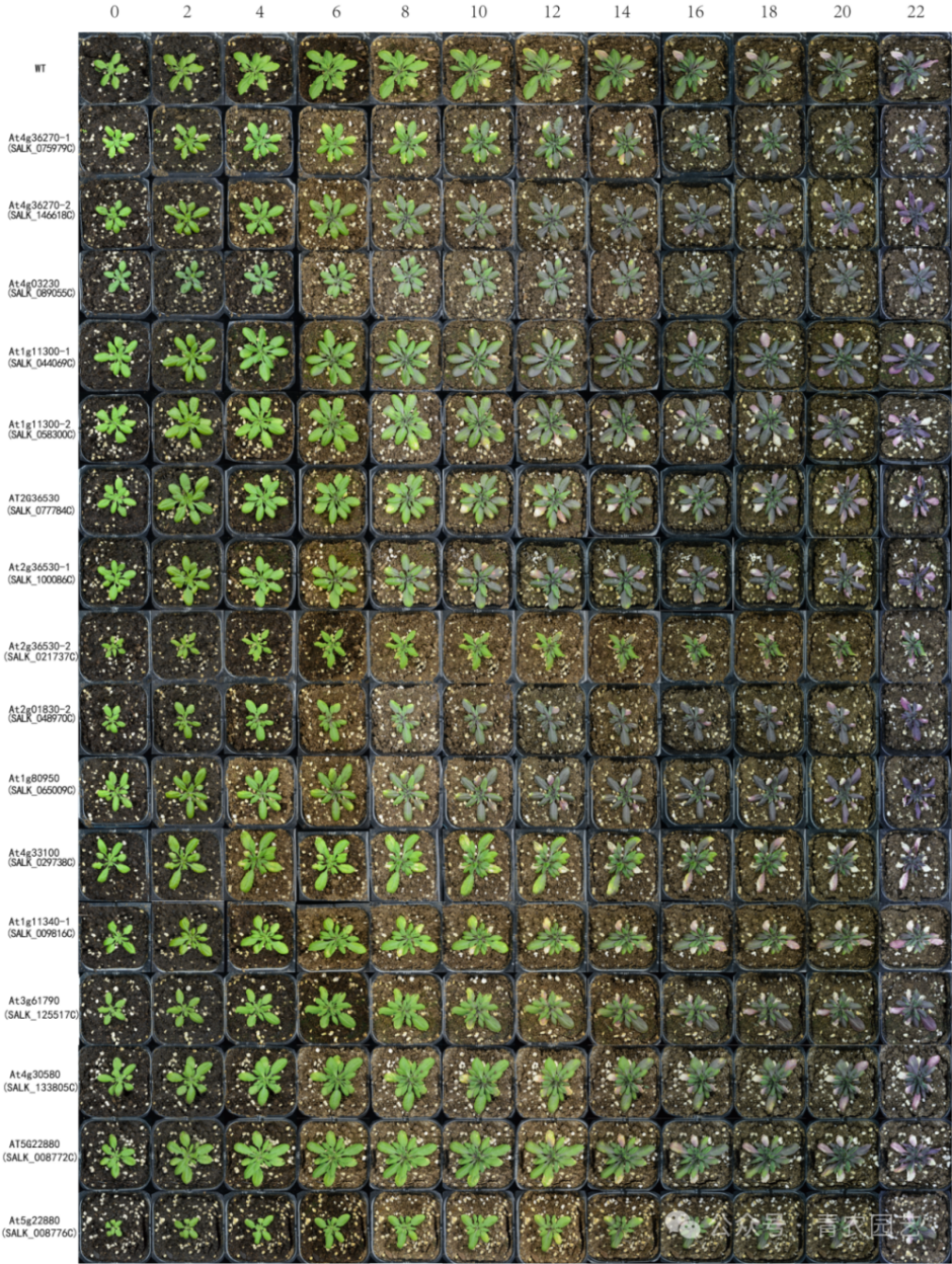 187a361e476b4076acb80151b56e9a34.png 187a361e476b4076acb80151b56e9a34.png